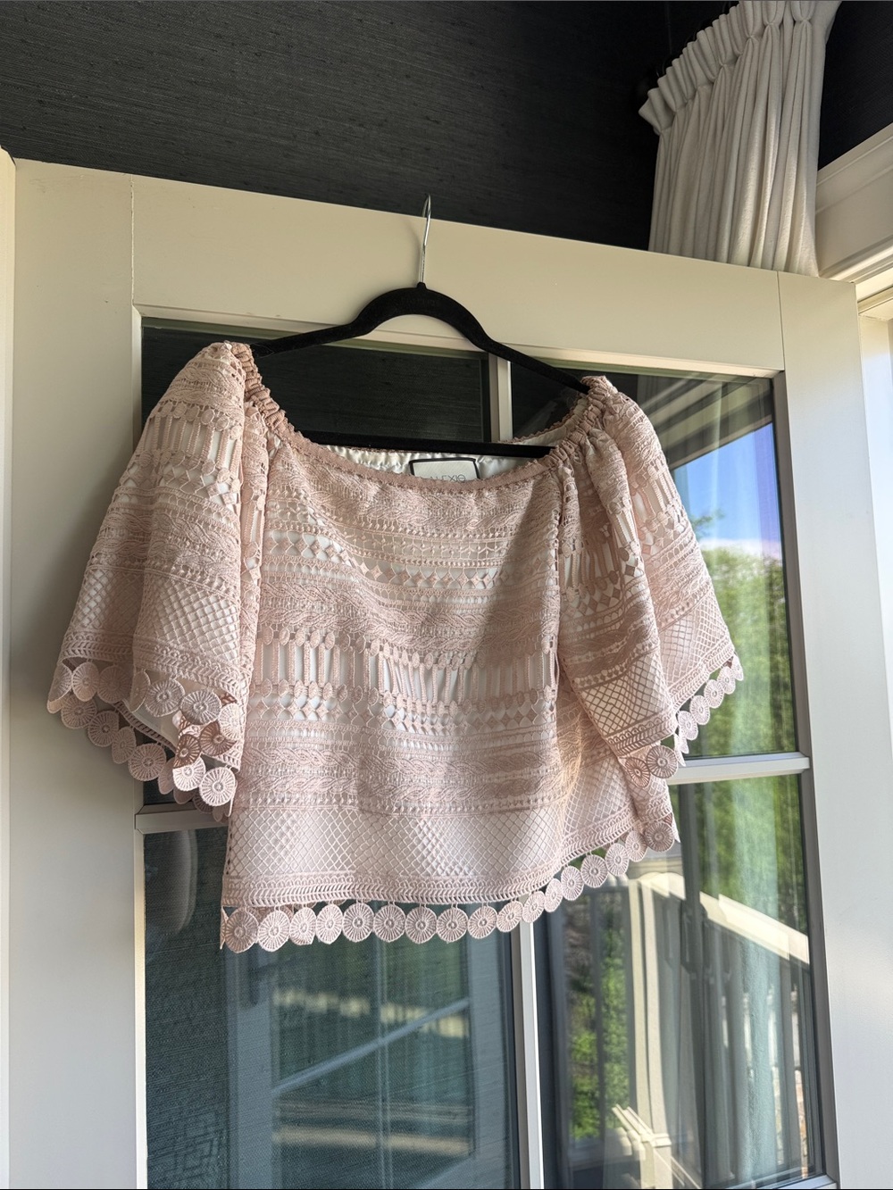 Alexis Blush Lace Off-Shoulder Crop Top